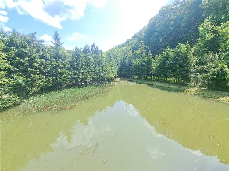 Cabana pe apa in Padurea Neagra - 11