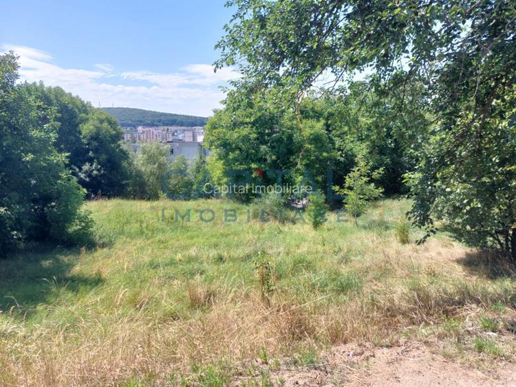 Teren intravilan construibil - 5