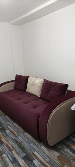 Proprietar inchiriez Grasoniera zona Ciuperca (1 Mai), renovata - prima inchirie - 2