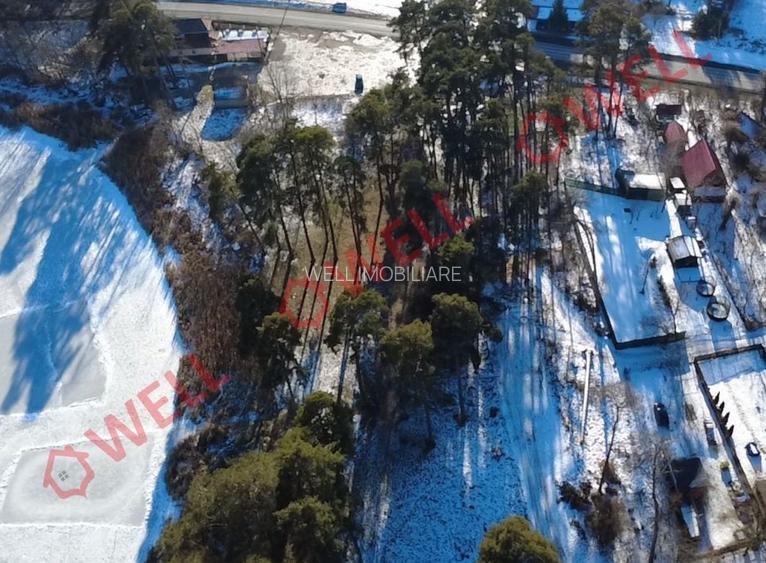 Două terenuri intravilane de vânzare în Reci, lângă lac! - 4