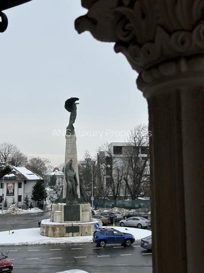 Vila  Aviatorilor cu Destinatie  Premium Business sau Ambasada - 5