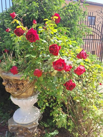 Cea mai frumoasă casă din zona Pipera - Băneasa - 50