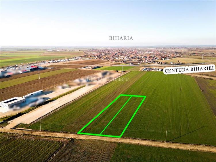 RECO Teren extravilan in Biharia 5500 mp zona intravilana - 7