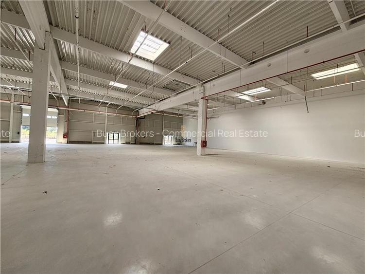 Spatiu Industrial - 2300 mp - Productie - Depozitare - Distributie - 9