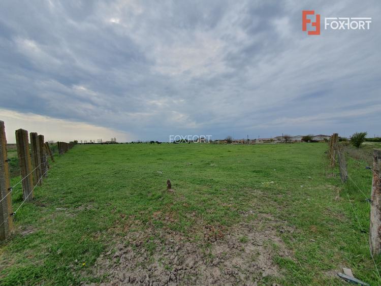 Teren intravilan cu suprafata de 58.340 mp, in Sanmartinul Sarbesc - 23