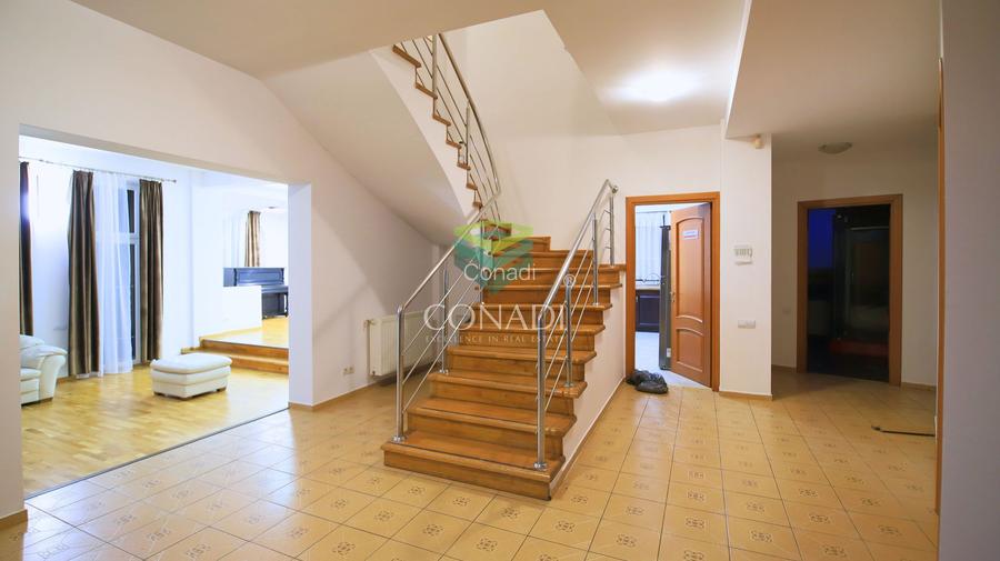 Iancu Nicolae - Vila de vanzare cu 5 camere si 1.000 Mp. de teren - 10