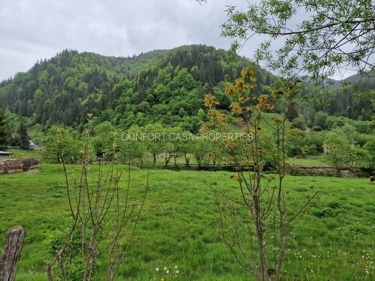 Teren intravilan - Rucar - Satic - 1775 mp - la strada principala - deschidere - 2