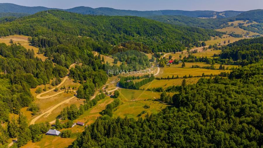 Teren 20000 mp, sat Dalghiu, com Vama Buzaului - 8