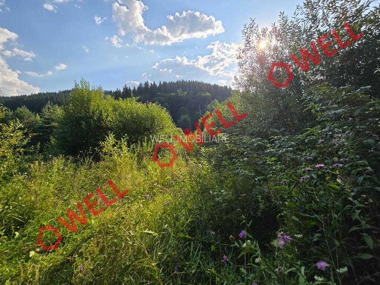 De vânzare teren extravilan în Întorsura Buzăului, pe punctul numit „Tomoja” - 6