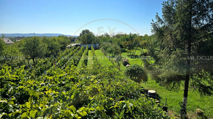 casa 3 camere Viile Satu Mare - 2