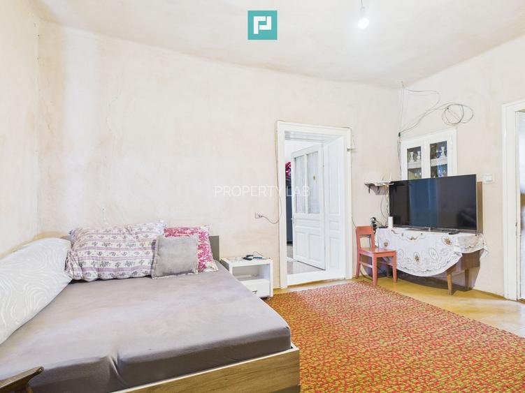 Casă cu grădină mare la 30 km de Timișoara - 4