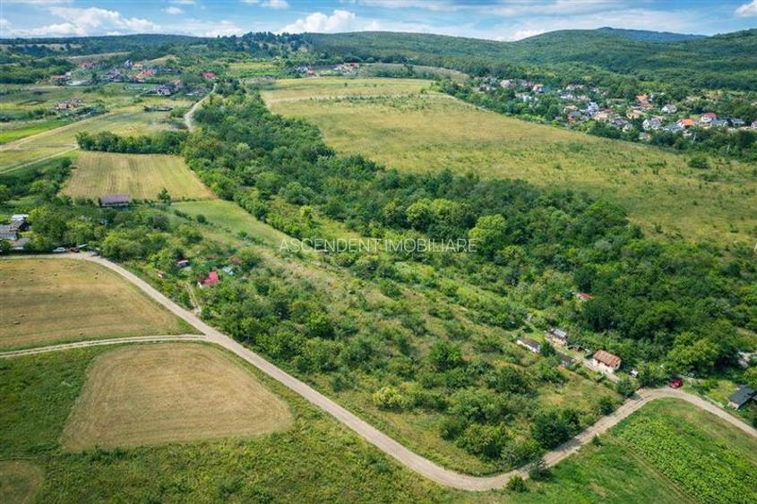 FILM! Confortabila ariere, 4.500 mp, arbori roditori, Sancraiu,Covasna - 3