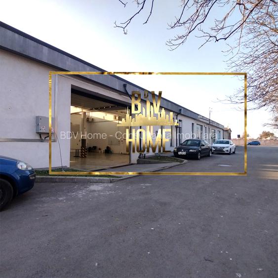 Spatiu PREMIUM Constanta Centru HALA SI BIROURI - 7