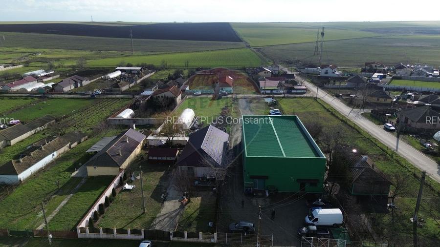 Hala industriala de vanzare in Poiana-Ovidiu - 5
