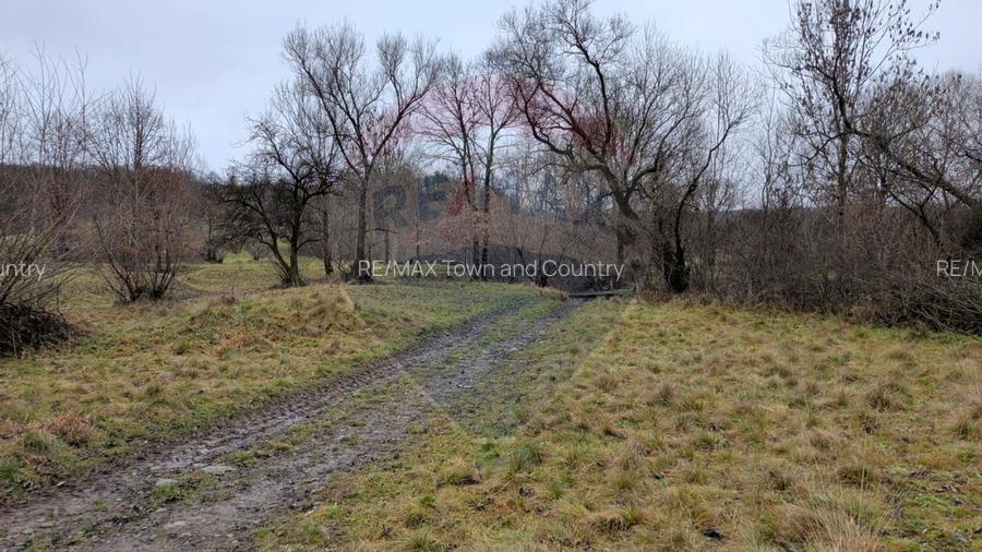 Teren 2,932mp Sarbi (Budesti) / Drumul Principal - 7