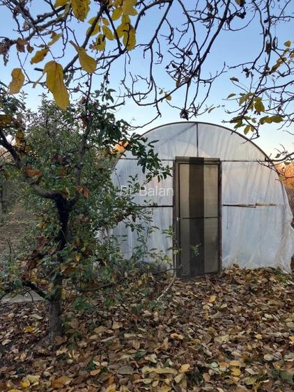  Oportunitate ideală de investiție și locuit– Casă, curte și livadă pe 1800 mp - 7