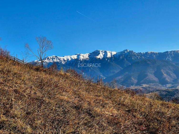 Teren de vânzare în sat Măgura/ Brasov– loc pentru familie, liniște și suflet - 7