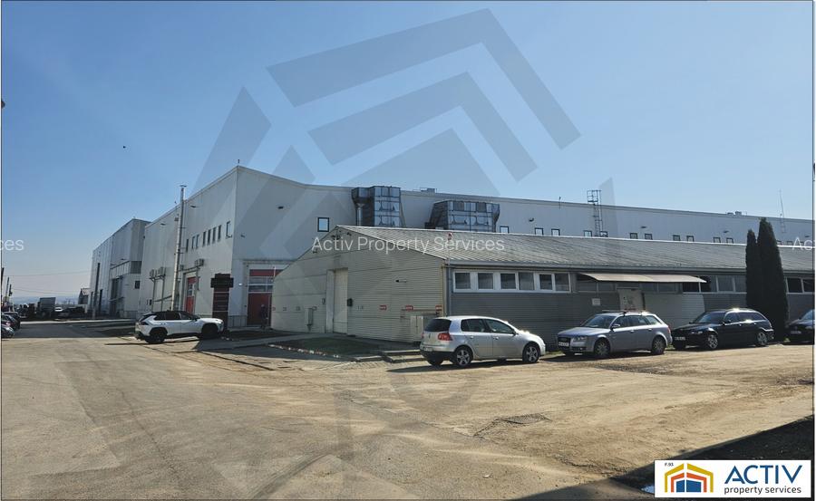 Spatiu industrial de inchiriat Vidrasau Mures - 2