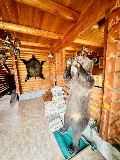 Cabana vânătorească din lemn cu vedere spectaculoasa, langa Castelul Cantacuzino - 25