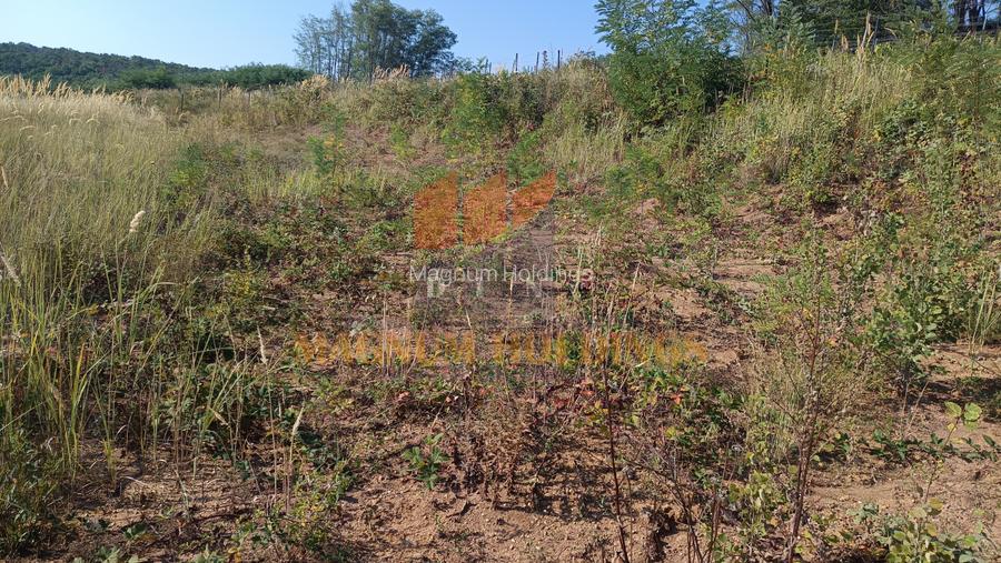 Teren cu autorizatie si proiect de construire, utilitati, Smeura - 6