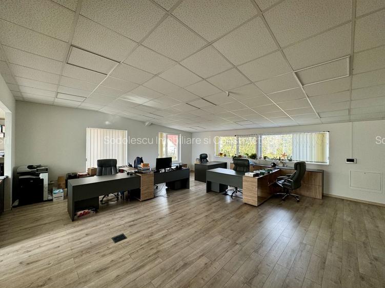 Clădire SAD de închiriat, situată la intrarea în Dumbrăvița - 15