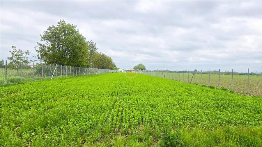 Teren 3.600 m² in Odoreu | 7 km de Satu Mare | 160 m de Principala - 9