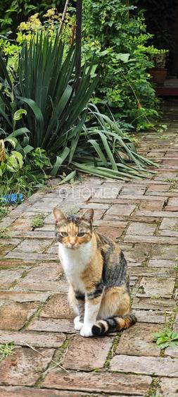 Apartament de lux la casa, incalzire pardoseala. ZONA CONSULATELOR! - 18