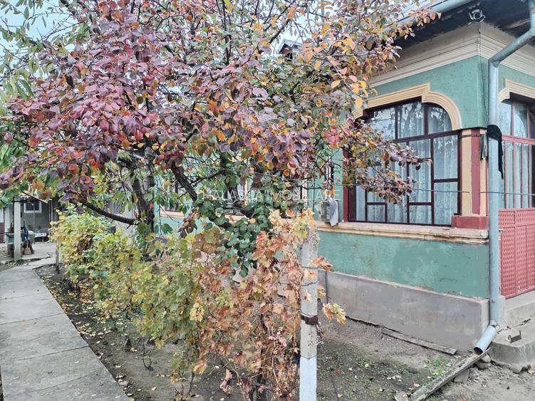 Casa cu teren -  central Segarcea - 2