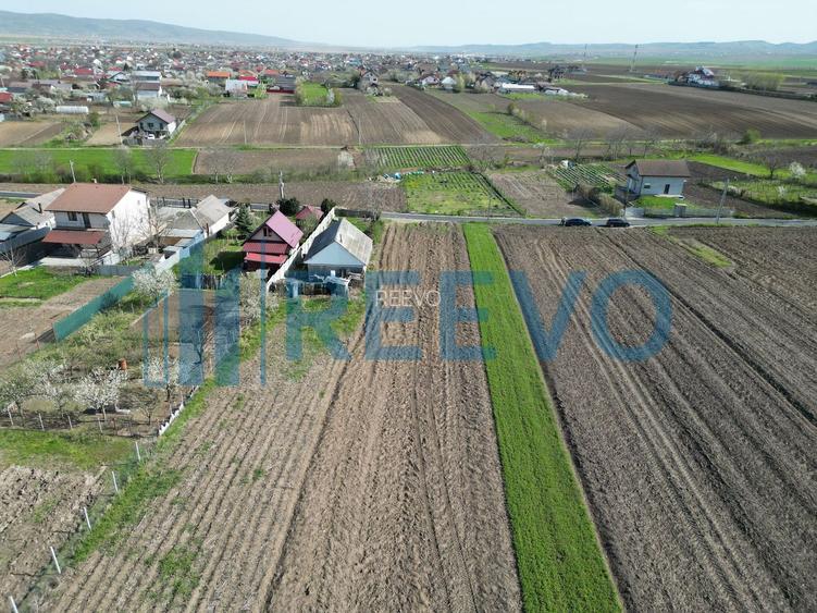 Teren de vânzare, Com. Nicolae Bălcescu, Jud. Bacău - 13