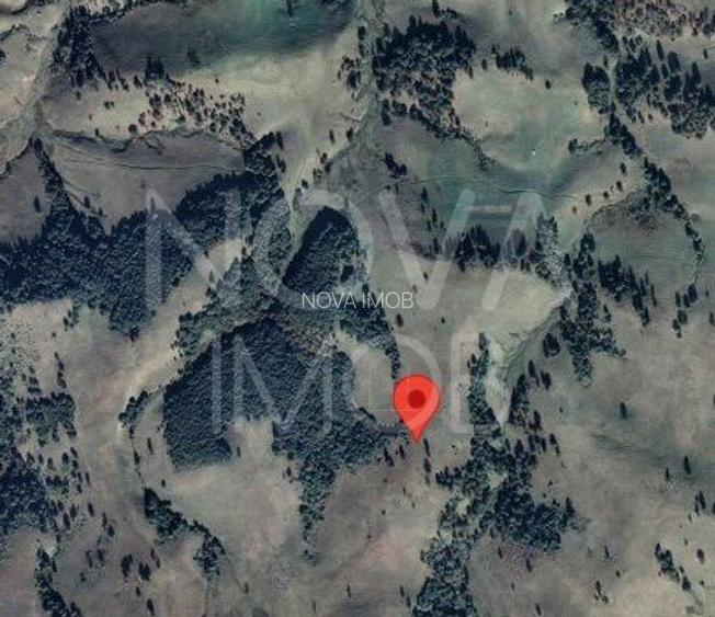 Teren extravilan de vanzare - Crint - 2