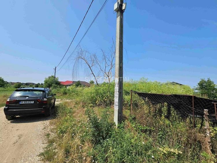 Teren de vanzare, 561 mp, strada Cetatea Alba, Mamina, Comuna Berceni - 10