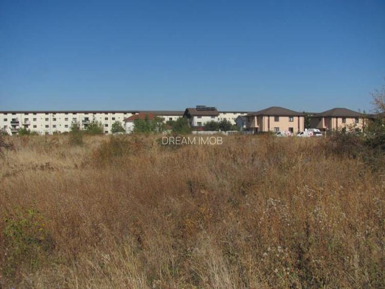 prelungirea Ghencea Iernii - 4