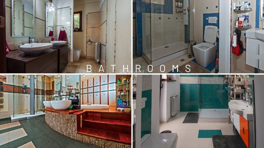 Vila grandioasa, Gradina Japoneza, SPA, Crama, Teren Tenis, Foisor, Iaz Pesti - 8