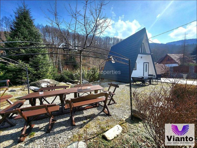 CASA DE VACANTA / PENSIUNE DE VANZARE – CARTISOARA – ZONA BALEA - 18