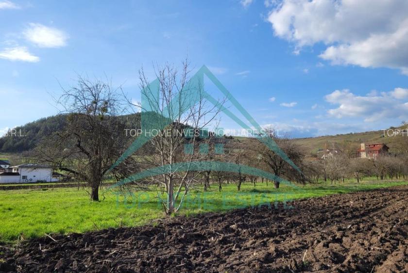 EXCLUSIVITATE! Teren intravilan de vanzare in zona linistita, sat Vlaha! - 11