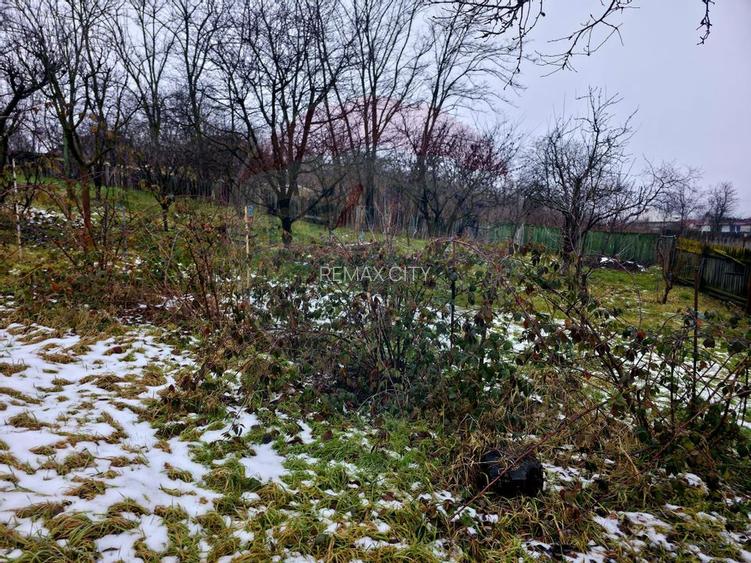 Teren intravilan 4,516mp Doina - 33