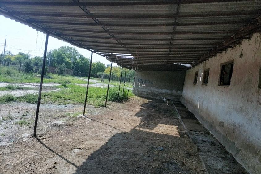 Ferma cu hale 3000 mp si teren 12000 mp, 30 km de Constanta - 8