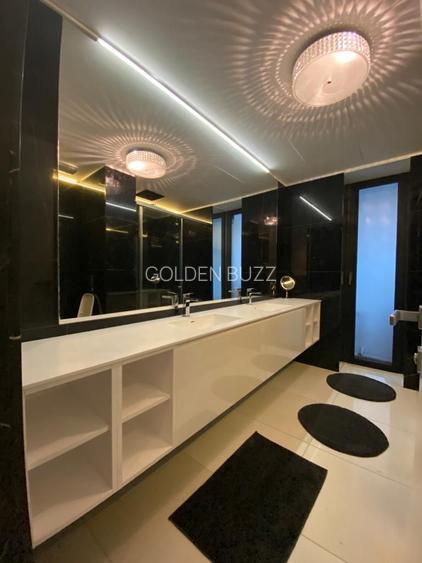 Apartament unic Primăverii - Piața Charles De Gaulle - 20