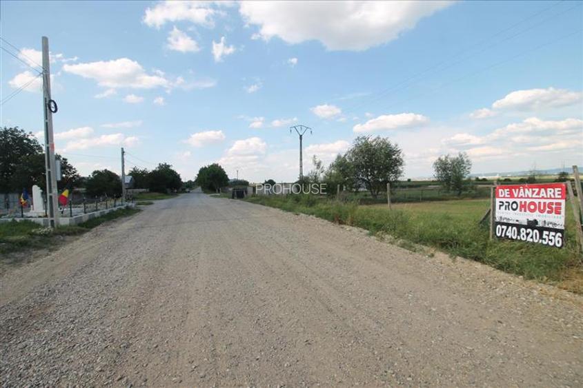 Teren 3000 mp intravilan - Sarata - 3