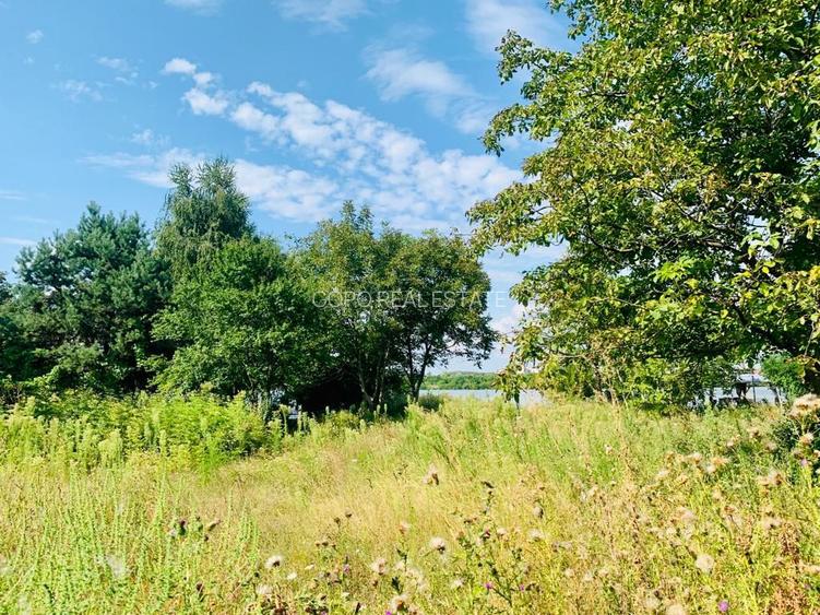 2066 mp teren deschidere lacul Grivita 24m zona deosebita in Damaroaia - 3