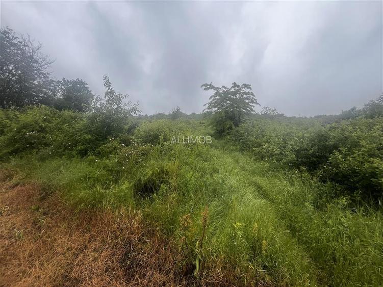 Teren intravilan, 1000mp, in Valea Calugareasca. - 3