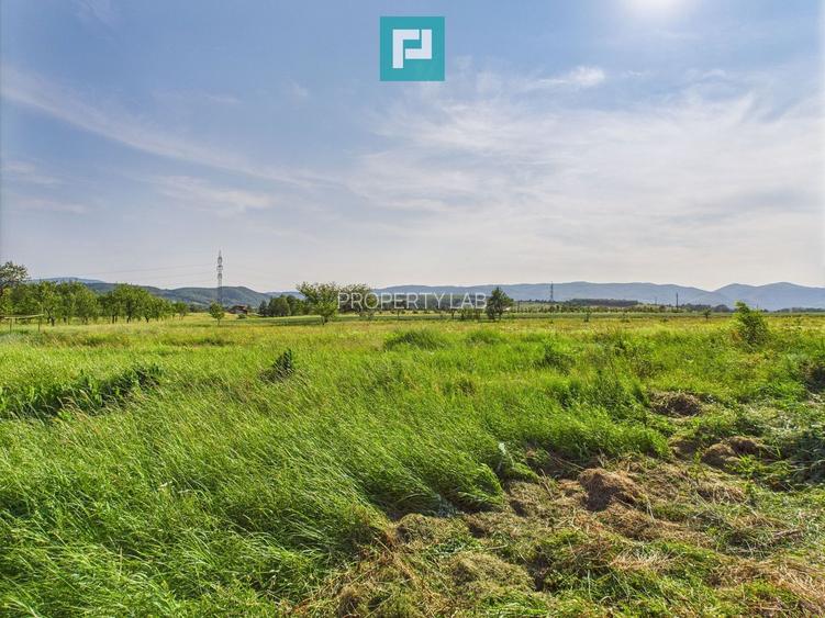 Casă cu teren de 4707 mp în Hălmăgel, județul Arad - 21