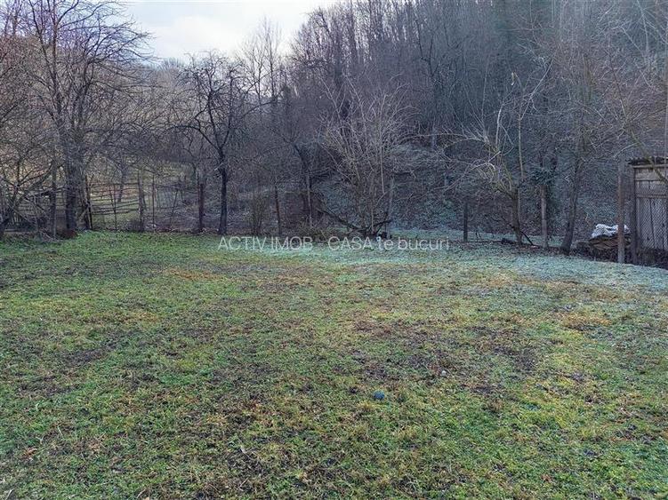 Ciclova, Casa 10 Incaperi, pt 2 Familii, 1439mp Teren - 26