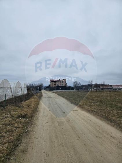 TEREN  INTRAVILAN  5000mp ORAS CISNADIE  STR. SELIMBARULUI - 13