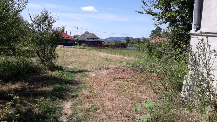 Teren intravilan casa si anexe Loc. Babeni, jud Salaj (licitatie)