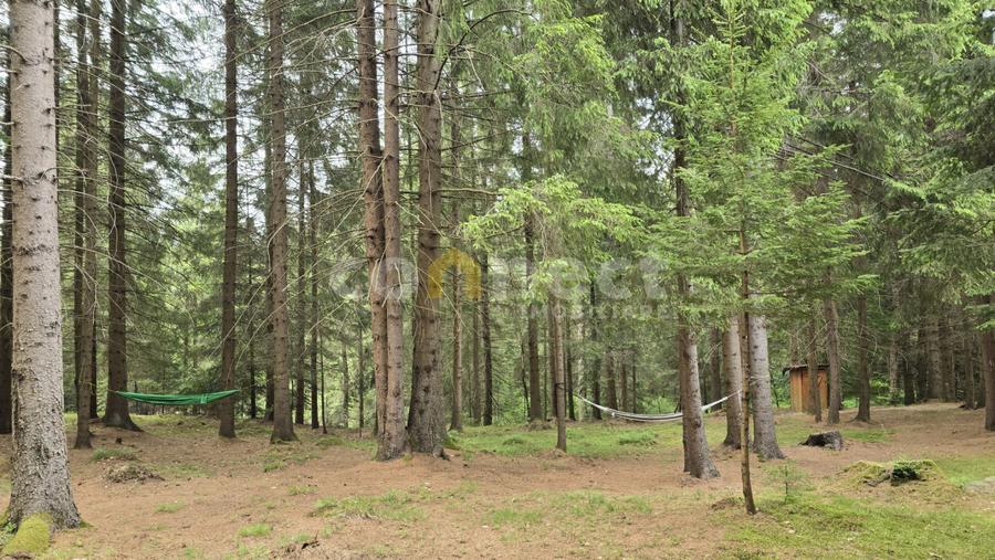 De vânzare casă de vacanță deosebită | Călățele Pădure – Dealu Negru, Cluj