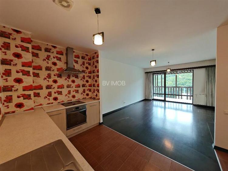 Inchiriem Apartament 2 Camere, Partial Mobilat, Open Space, Racadau - 16