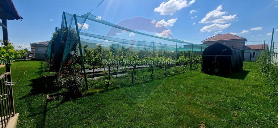 TEREN Investitie livada cu 116 pomi fructiferi in Comuna Livada - 8