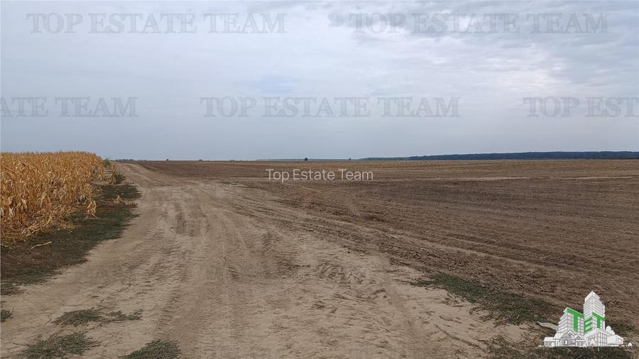 Oferim spre vanzare 6 loturi de teren extravilan (agricol) in Petrachioaia ILFOV - 3