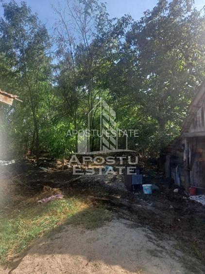 Casa individuala in Cruceni ,la granita cu Serbia - 11